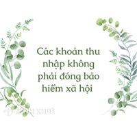 Các khoản thu nhập không phải đóng bảo hiểm xã hội