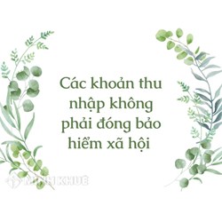 Các khoản thu nhập không phải đóng bảo hiểm xã hội