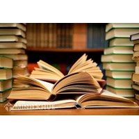 Lương Tổng Bí thư theo quy định là bao nhiêu một tháng?
