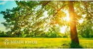 Tả mùa hè hay, ấn tượng nhất Tập làm văn lớp 5