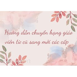 Hướng dẫn chuyển hạng giáo viên từ cũ sang mới các cấp chi tiết