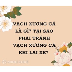 Vạch xương cá là gì? Tại sao phải tránh vạch xương cá khi lái xe?