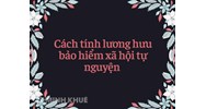 Cách tính lương hưu theo mức đóng bảo hiểm xã hội tự nguyện?