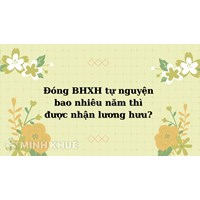 Đóng BHXH tự nguyện bao nhiêu năm thì được nhận lương hưu?