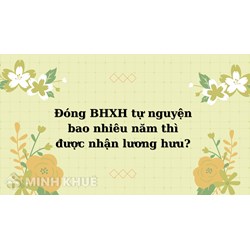 Đóng BHXH tự nguyện bao nhiêu năm thì được nhận lương hưu?