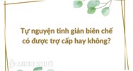 Tự nguyện tinh giản biên chế có được trợ cấp hay không?