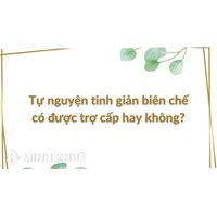 Tự nguyện tinh giản biên chế có được trợ cấp hay không?