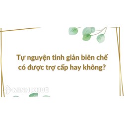 Tự nguyện tinh giản biên chế có được trợ cấp hay không?