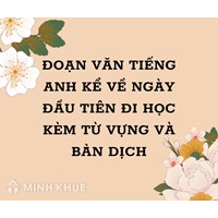 Đoạn văn tiếng Anh kể về ngày đầu tiên đi học kèm từ vựng và bản dịch