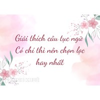Giải thích câu tục ngữ Có chí thì nên chọn lọc hay nhất