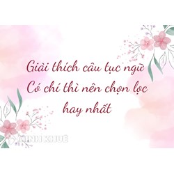 Giải thích câu tục ngữ Có chí thì nên chọn lọc hay nhất