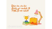 Đáp án câu hỏi đánh giá module 9 THCS mới nhất