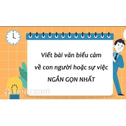 Viết bài văn biểu cảm về một con người hoặc sự việc hay nhất