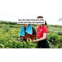 Vay vốn ngân hàng thế chấp sổ đỏ mới nhất của Agribank