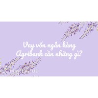 Vay vốn ngân hàng Agribank cần những gì?