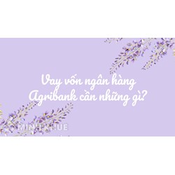 Vay vốn ngân hàng Agribank cần những gì?
