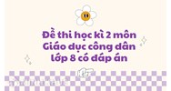 Đề thi học kì 2 môn Giáo dục công dân lớp 8 có đáp án
