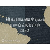 Đất khai hoang đang sử dụng có bị thu hồi và được đền bù không?