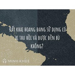 Đất khai hoang đang sử dụng có bị thu hồi và được đền bù không?