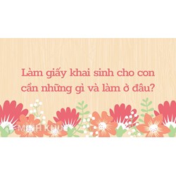 Làm giấy khai sinh cho con cần những gì và làm ở đâu?