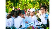 Tra cứu khu vực ưu tiên, đối tượng ưu tiên như thế nào?