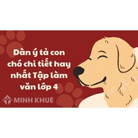 Dàn ý tả con chó chi tiết hay nhất Tập làm văn lớp 4