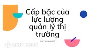 Cấp hiệu của lực lượng quản lý thị trường theo quy định mới