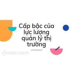 Cấp hiệu của lực lượng quản lý thị trường theo quy định mới