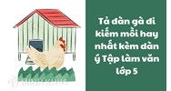 Tả đàn gà đi kiếm mồi hay nhất kèm dàn ý Tập làm văn lớp 5