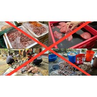 Nghị luận về thực phẩm bẩn chọn lọc hay nhất