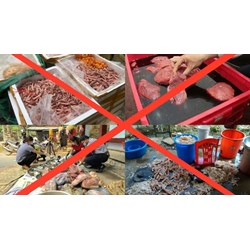 Nghị luận về thực phẩm bẩn chọn lọc hay nhất