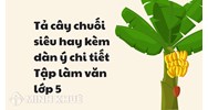 Tả cây chuối siêu hay kèm dàn ý chi tiết Tập làm văn lớp 5