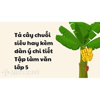 Tả cây chuối siêu hay kèm dàn ý chi tiết Tập làm văn lớp 5