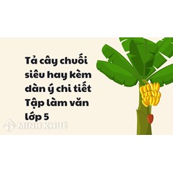 Tả cây chuối siêu hay kèm dàn ý chi tiết Tập làm văn lớp 5
