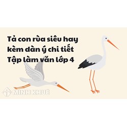 Tả con cò siêu hay kèm dàn ý chi tiết Tập làm văn lớp 4