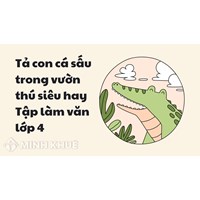 Tả con cá sấu trong vườn thú siêu hay Tập làm văn lớp 4