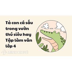 Tả con cá sấu trong vườn thú siêu hay Tập làm văn lớp 4