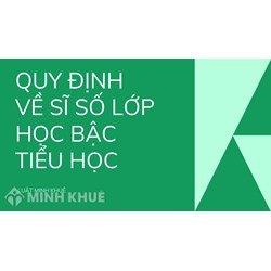 Quy định về sĩ số lớp học bậc tiểu học như thế nào?