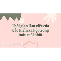 Thời gian làm việc của bảo hiểm xã hội trong tuần mới nhất