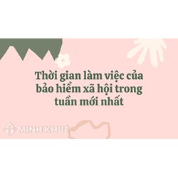 Thời gian làm việc của bảo hiểm xã hội trong tuần mới nhất