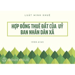 Quy định về hợp đồng thuê đất của UBND xã mới nhất