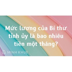 Mức lương của Bí thư tỉnh ủy là bao nhiêu tiền một tháng?