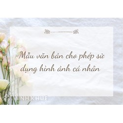 Mẫu văn bản cho phép sử dụng hình ảnh cá nhân mới nhất