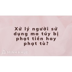 Xử lý người sử dụng ma túy bị phạt tiền hay phạt tù?