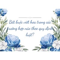 Bắt buộc viết hoa trong các trường hợp nào theo quy định luật?
