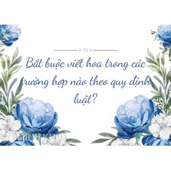 Bắt buộc viết hoa trong các trường hợp nào theo quy định luật?