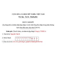 Mẫu cam kết thuế thu nhập cá nhân mới nhất (Mẫu 08/CK-TNCN)