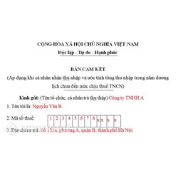 Mẫu cam kết thuế thu nhập cá nhân mới nhất (Mẫu 08/CK-TNCN)