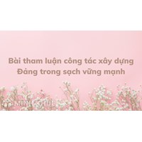 Bài tham luận công tác xây dựng Đảng trong sạch vững mạnh