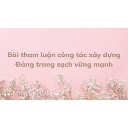 Bài tham luận công tác xây dựng Đảng trong sạch vững mạnh